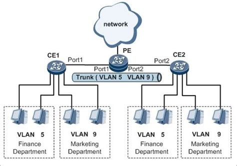 What Is A VLAN - A Complete Guide To Virtual LAN