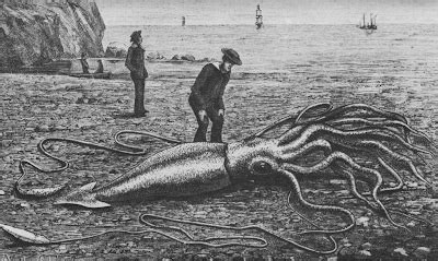 The Cellular Scale: How big is the GIANT Squid Giant Axon?