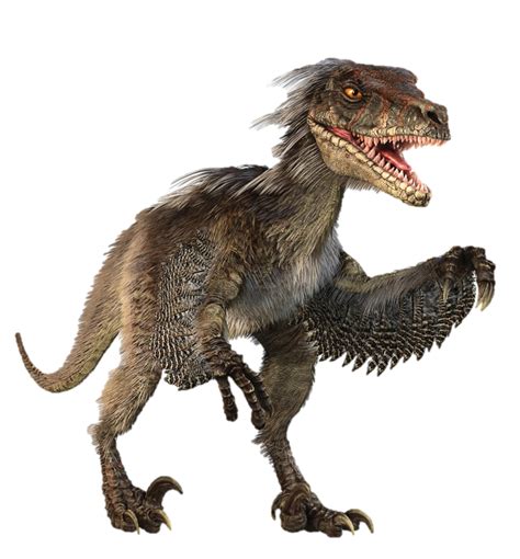 Velociraptor - Dinopedia - the free dinosaur encyclopedia