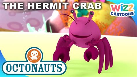 @Octonauts - The Hermit Crab 🐚 🦀 | S1:EP12 Full Episode | @WizzCartoons ...