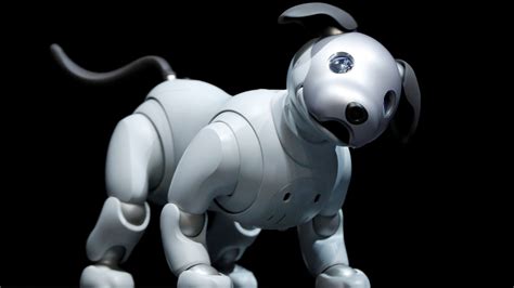 Robot 2024 Working-Dog - Bill Marjie