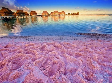 Bahamas, Harbour Island, Pink Sand | Pink sand beach bahamas, Best ...