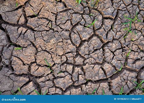 Barren Earth. Dry Cracked Earth Background. Cracked Mud Pattern. Soil ...