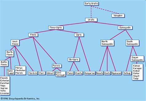 Ural_yukaghir_chart | Languages Of The World