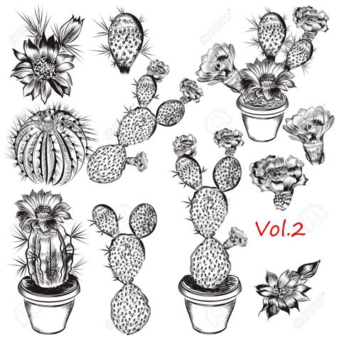 Potted Cactus Drawing at GetDrawings | Free download