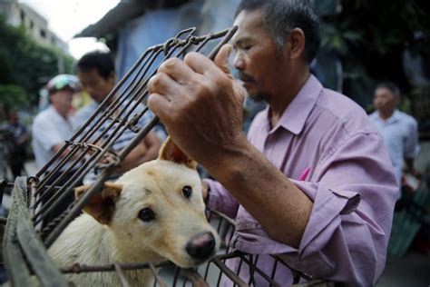 What Is Yulin Festival In China