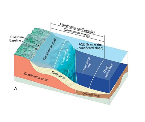 Continental Slope And Shelf Diagram