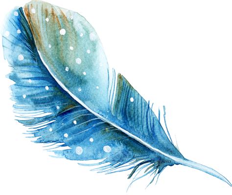 Feather Watercolor painting - feather png download - 1636*1380 - Free ...