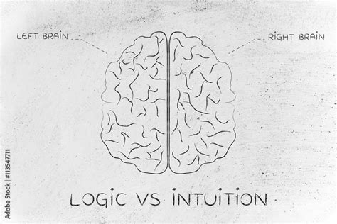 left and right brain illustration, caption logic vs intuition Stock ...