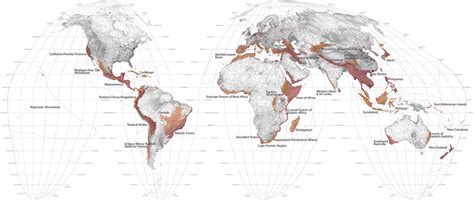 Seven Biodiversity Hotspots You Should Know | Plant With Purpose