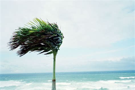 Where the wind blows: Mapping our wildest gusts | New Scientist