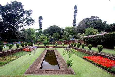 Durban Botanic Gardens | Durban south africa, Botanical gardens, Durban