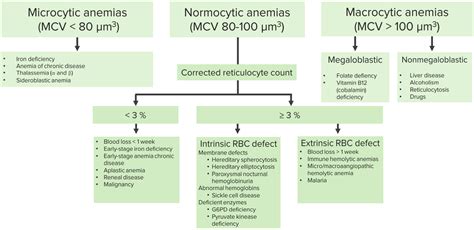 Anemia Overview: Microcytic, Macrocytic & Normocytic Anemia