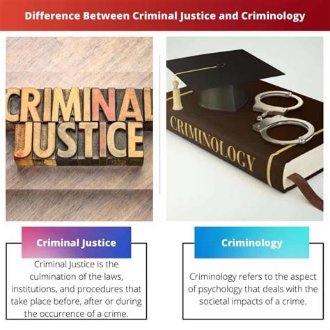 Criminal Justice vs Criminology: Difference and Comparison