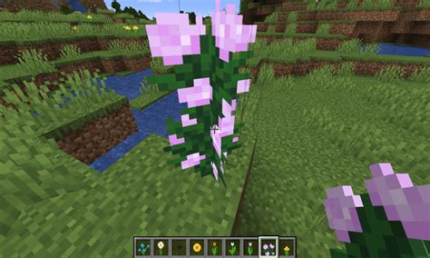 Where to find all flowers in Minecraft - Pro Game Guides