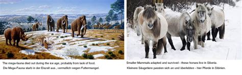 History of the Horse – Blog 10 – Pleistocene