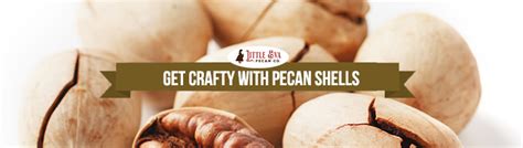 Get Crafty with Pecan Shells