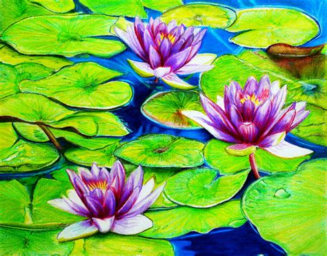 Water Lilies by PMucks on DeviantArt