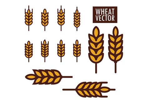 Wheat Vectors 140977 Vector Art at Vecteezy