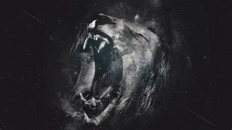 Lion Wallpapers - Wallpaper Cave