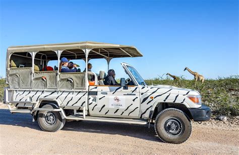 Etosha Safari Camping 2Go Things to Do in Etosha National Park Namibia ...