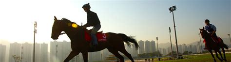 Racing Your Horse - Ownership Journey - Membership - The Hong Kong ...