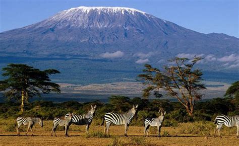 Tanzania: Unique Snow Attracts On Mt Kilimanjaro - allAfrica.com