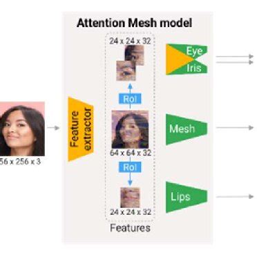 The 3D facial surface of 468 points in MediaPipe Face Mesh | Download ...