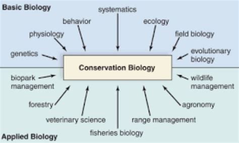 What you need to know about Conservation Biology. | Conservation ...