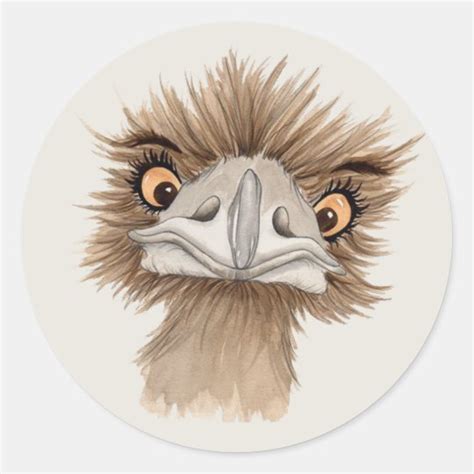 Funny Face Emu Cartoon Classic Round Sticker | Zazzle.com