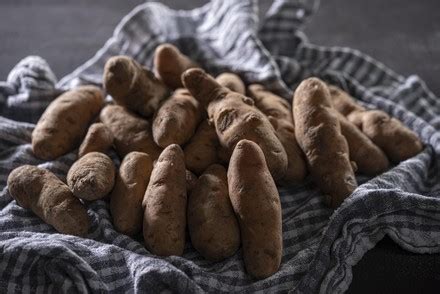 250 Potato varieties Stock Pictures, Editorial Images and Stock Photos ...