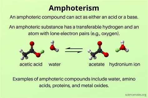 Amphoterism - Amphoteric Definition and Examples | Chemistry education ...