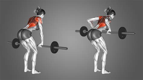 Barbell Row: Benefits, Muscles Used, and More - Inspire US