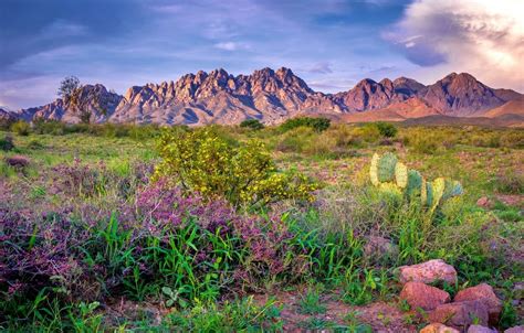 Organ Mountains-Desert Peaks National Monument