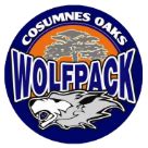 Cosumnes Oaks High School Ice Hockey - Elk Grove, CA