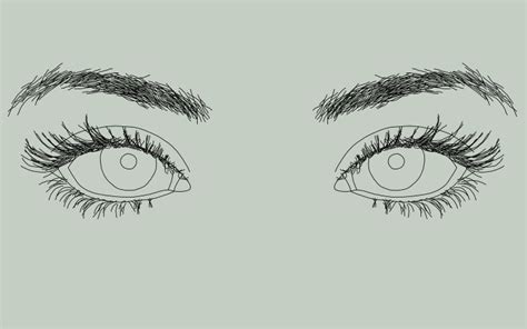 How To Draw Eyes: A Step By Step Guide | Eye drawing, Eye drawing ...