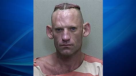 Florida man’s mugshot goes viral following traffic stop | WFLA