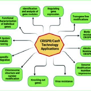 Direct applications of CRISPR/Cas technology | Download Scientific Diagram