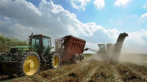 La. sugar cane farmers reporting uneven 2014 harvest