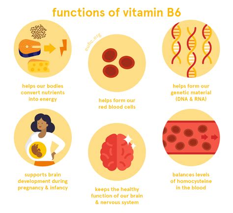 Pearls And Oy-sters: Vitamin B6 Deficiency Presenting With, 58% OFF