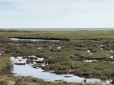 Aransas National Wildlife Refuge (ANWR)