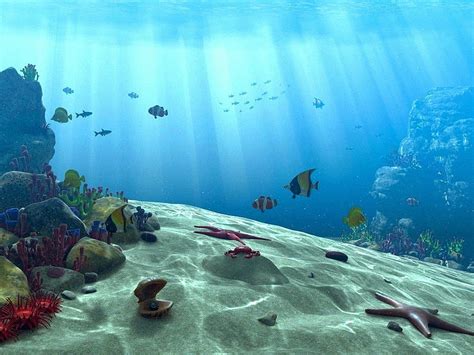 Underwater Ocean Scene 수중 장면 by akchilug [] for your , Mobile & Tablet ...