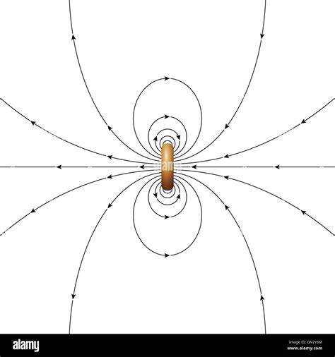 Magnetic field lines of a ring current of finite diameter. The arrows ...