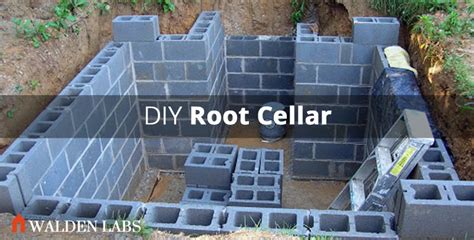 How to Build a Root Cellar in 7 Steps - Walden Labs