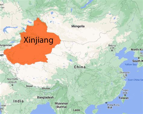 Xinjiang – The Lion's Tale