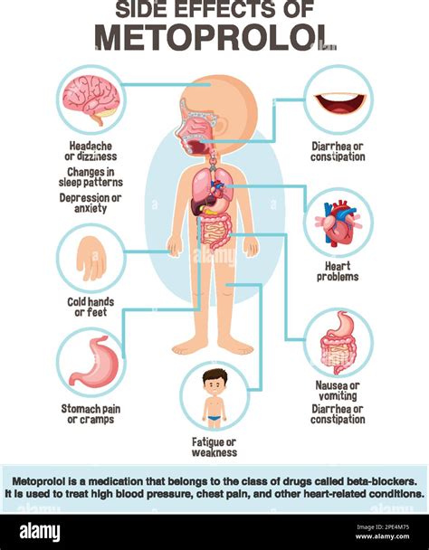 Human anatomy diagram cartoon style of metoprolol side effects ...