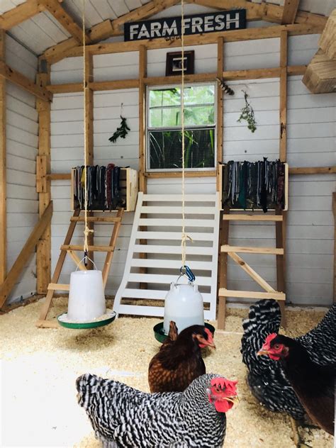 DIY: From Old Shed to Chicken Coop | House & Homestead