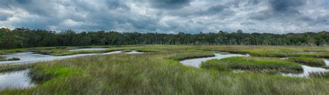 Timucuan Ecological & Historic Preserve (U.S. National Park Service)