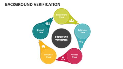 Background Verification PowerPoint and Google Slides Template - PPT Slides