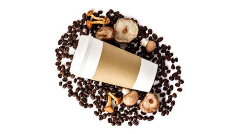 Benefits of Mushroom Coffee (& Quality Standards That Matter) – Lucid™